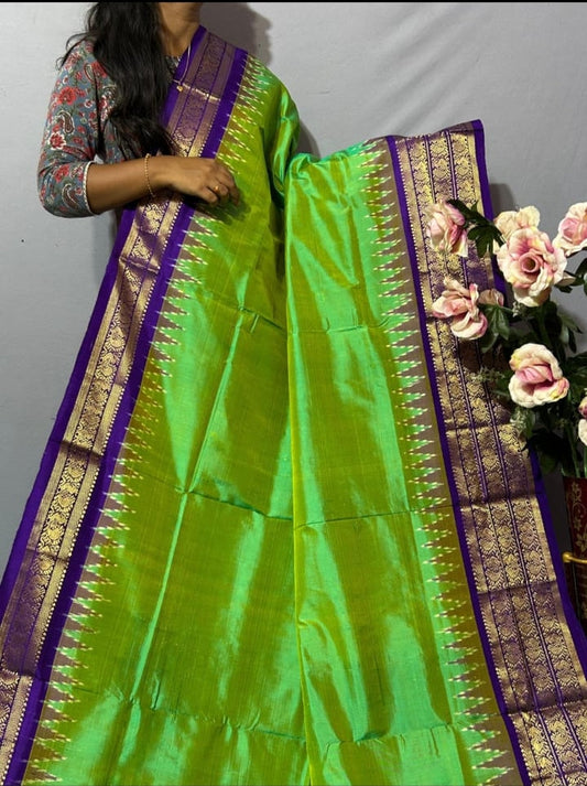 Ikkat Pochampally Handloom Pure Silk Saree with Blouse | Double Warp | Silk Mark Certified