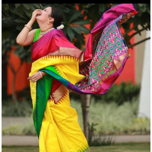 Ikkat Pochampally Handloom Pure Silk Saree with Blouse | Double Warp | Silk Mark Certified