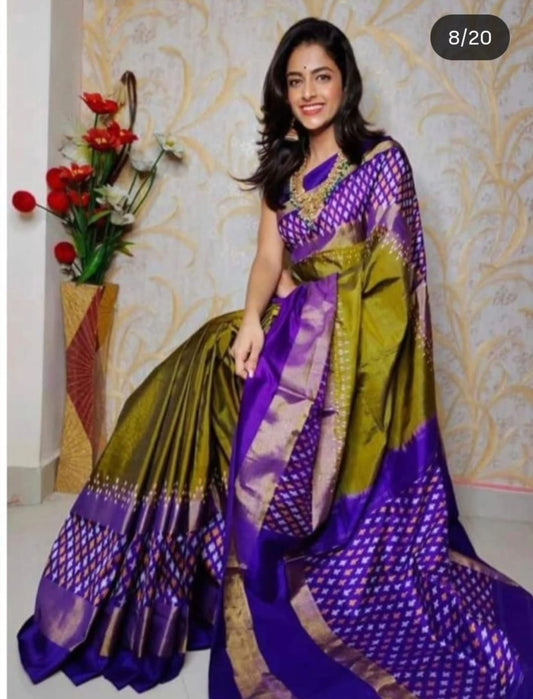 Ikkat Pochampally Handloom Pure Silk Saree with Blouse | Double Warp | Silk Mark Certified